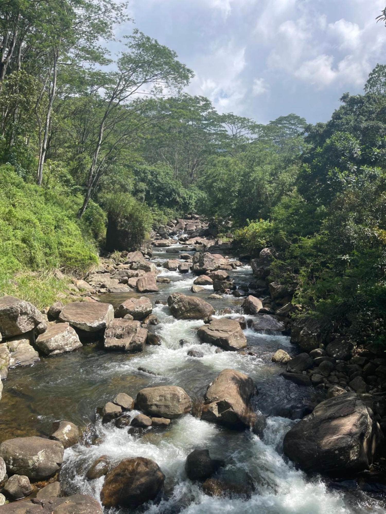 Eagles Lodge - Kandy Digana Kültér fotó