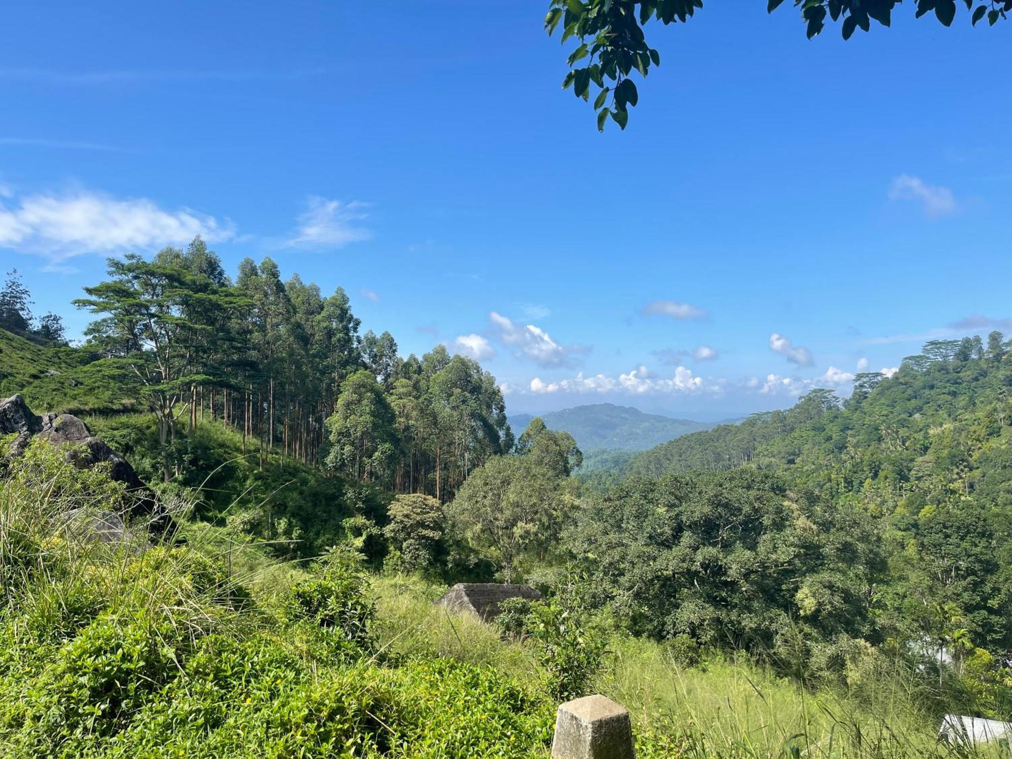 Eagles Lodge - Kandy Digana Kültér fotó